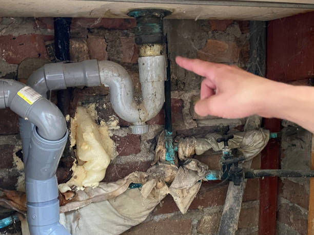 Best Professional water damage repair  in Fruitland, NC