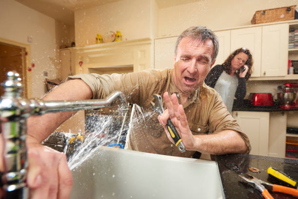 Best 24-hour water damage restoration  in Fruitland, NC